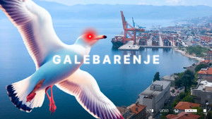 Galebarenje háttérkép