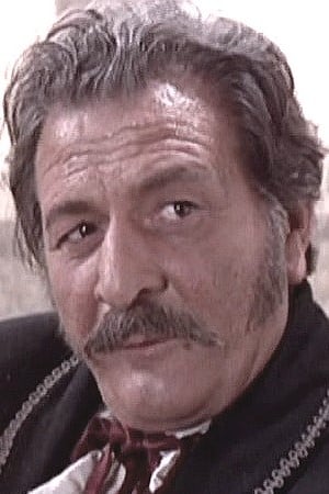 Furio Meniconi