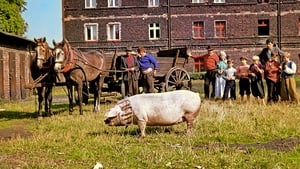 Grzeszny żywot Franciszka Buły háttérkép