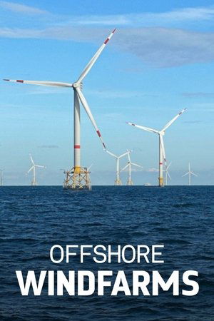 Windparks im Meer - Chance oder Risiko für die Natur? poszter