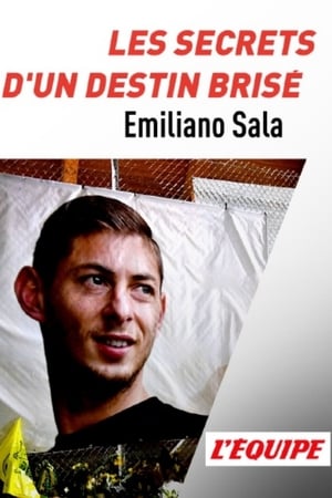 Emiliano Sala, les secrets d'un destin brisé poszter