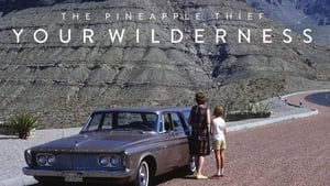 The Pineapple Thief: Your Wilderness háttérkép