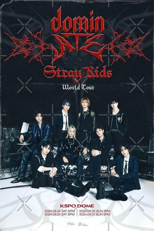 스트레이 키즈 : 더 도미네이트 익스피리언스 poszter