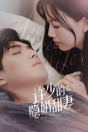 许少的隐婚甜妻