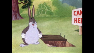 Wabbit Twouble háttérkép
