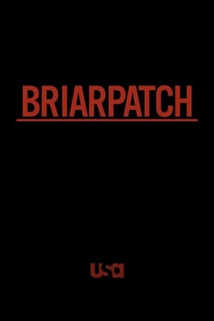 Briarpatch poszter