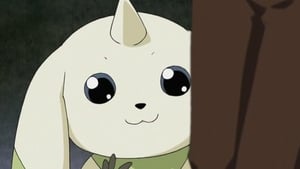 Digimonszelídítők 1. évad Ep.2 Terriermon megjelenik