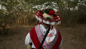 Eco de la montaña háttérkép