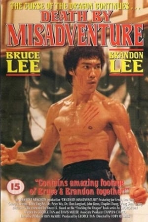 Death by Misadventure: The Mysterious Life of Bruce Lee poszter