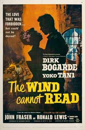 The Wind Cannot Read