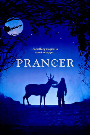 Prancer poszter