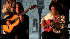 Flamenco Flamenco háttérkép