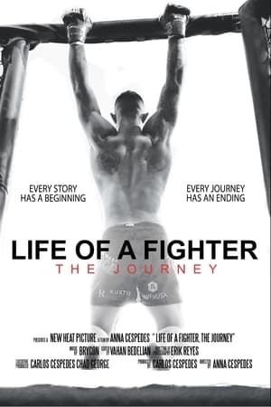 Life of a Fighter: The Journey