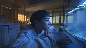 출사표 1. évad Ep.12 12. epizód