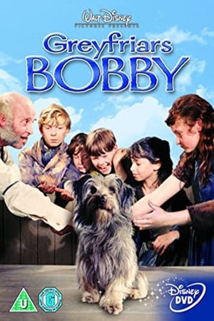 The Adventures of Greyfriars Bobby poszter