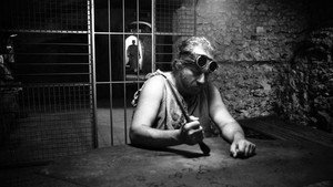 Il ronzio delle mosche háttérkép