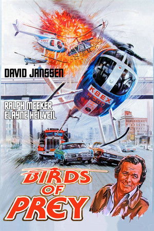 Birds of Prey poszter