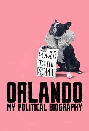 Orlando, ma biographie politique poszter