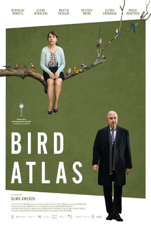 Atlas ptáků poszter