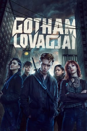 Gotham lovagjai