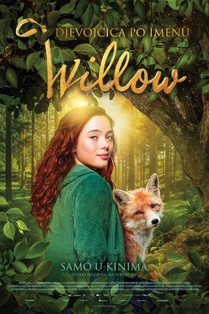 Willow és a varázserdő poszter