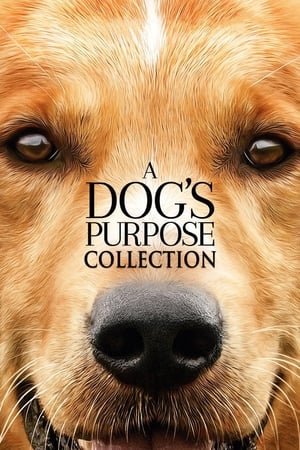 A Dog's Purpose filmek