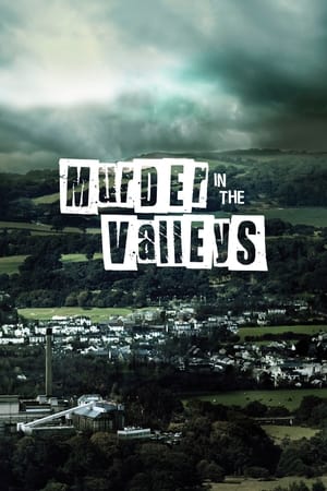 Murder In The Valleys poszter