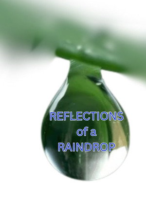 Reflections in a Raindrop: A Student Film poszter