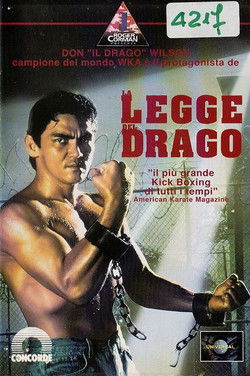 Kickbox harcos 3: Harcra kényszerítve poszter