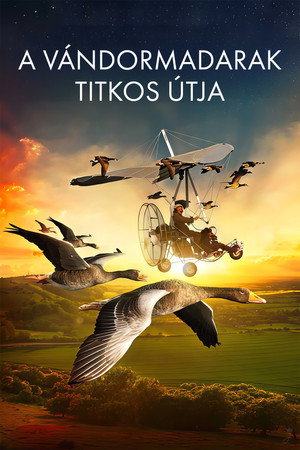 A vándormadarak titkos útja