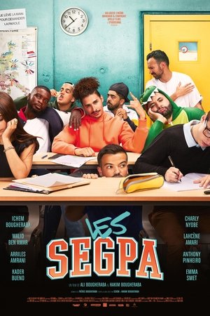 Les SEGPA poszter