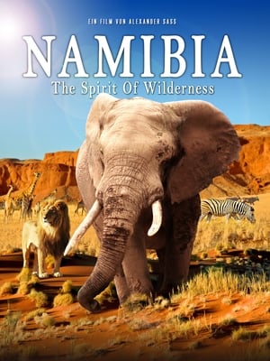 Namibia: The Spirit of Wilderness poszter