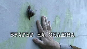 Братът на охлюва háttérkép