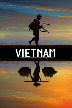 The Vietnam War poszter