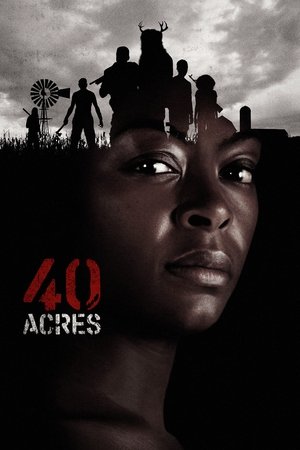 40 Acres poszter