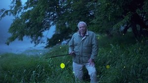 Attenborough's Life That Glows háttérkép