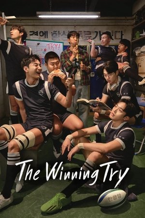 트라이: 우리는 기적이 된다 poszter