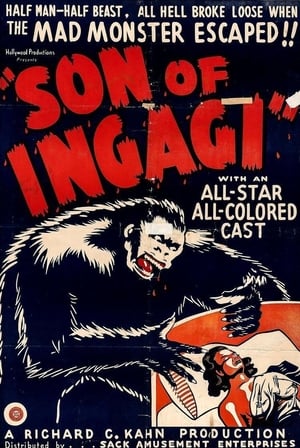 Son of Ingagi poszter