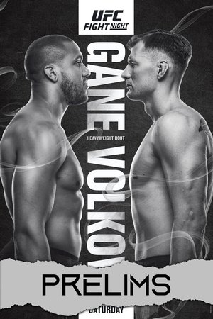 UFC Fight Night 190: Gane vs. Volkov poszter