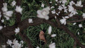 雄狮少年2 háttérkép
