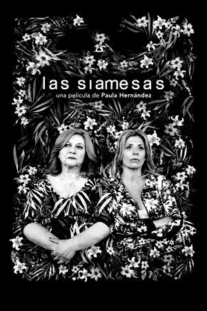 Las siamesas poszter