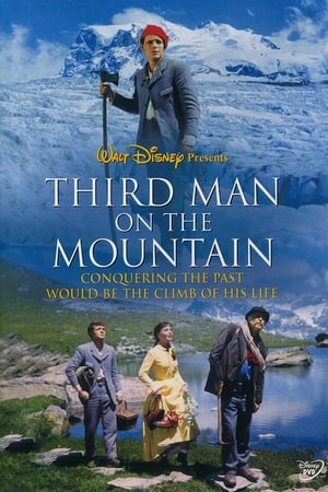 Third Man on the Mountain poszter