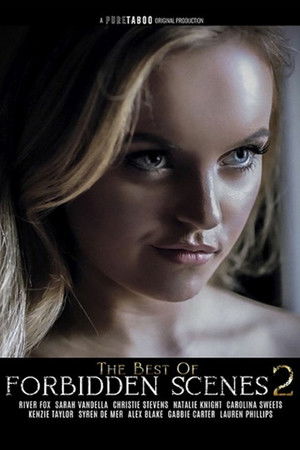 The Best of Forbidden Scenes 2 poszter