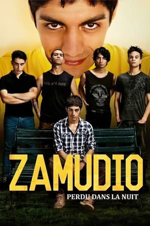 Zamudio