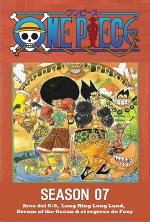 One Piece poszter