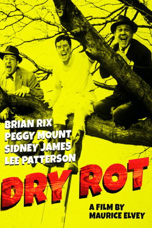 Dry Rot poszter