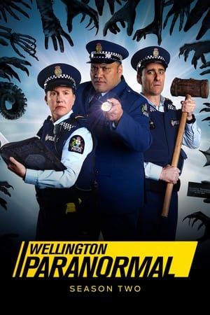 Wellington Paranormal