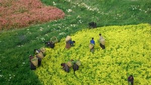 Nature : pour une réconciliation háttérkép