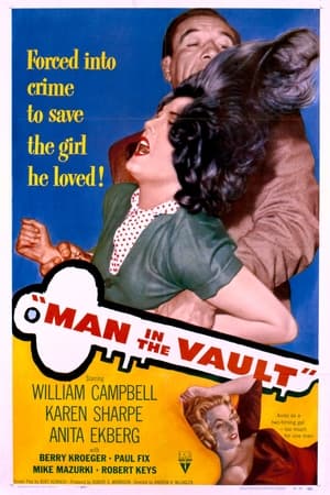 Man in the Vault poszter