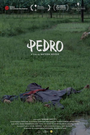 Pedro poszter